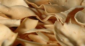 Papad(am)/frisch aus der mikrowelle (freshly nuked) Papad(am)/frisch aus der mikrowelle (freshly nuked)