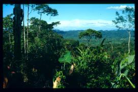 Guatemala 1996 Guatemala 1996